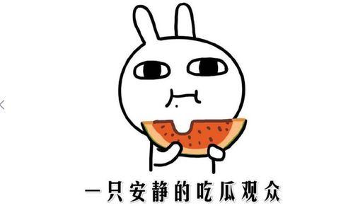 网络词吃瓜是什么意思啊,吃瓜背后的文化内涵  第3张